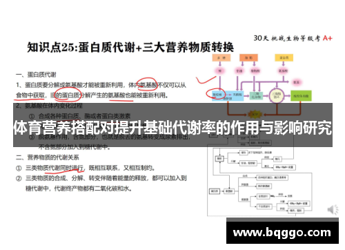 体育营养搭配对提升基础代谢率的作用与影响研究